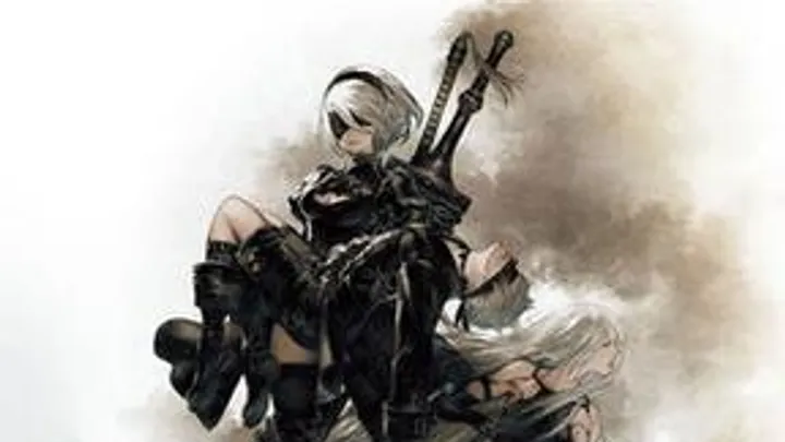 How to Play NieR: Automata Effectively