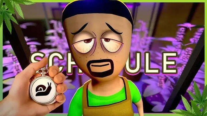 How to Master Schedule I: The Ultimate Beginner-to-Advanced Guide